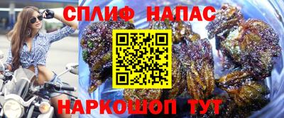 марихуана Ставрополь