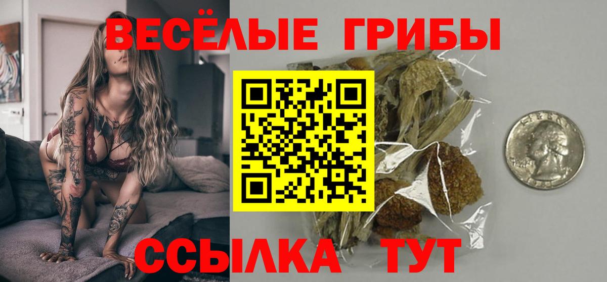 Псилоцибиновые грибы GOLDEN TEACHER  Вход с VPN  Псилоцибиновые грибы MAGIC MUSHROOMS  Полысаево 